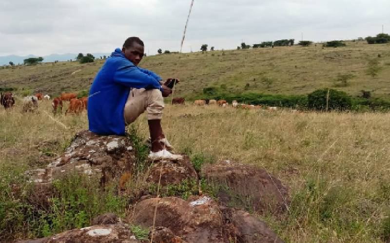 After drought, herders hammered by coronavirus curbs: The Standard