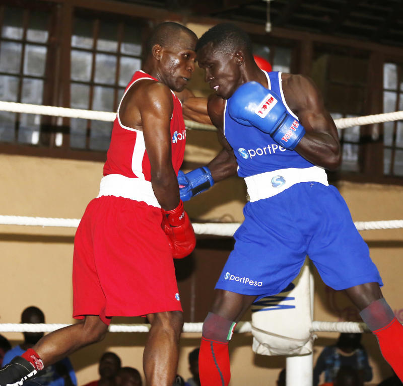 Boxing: Counties ready for the Novices Championship : The standard Sports