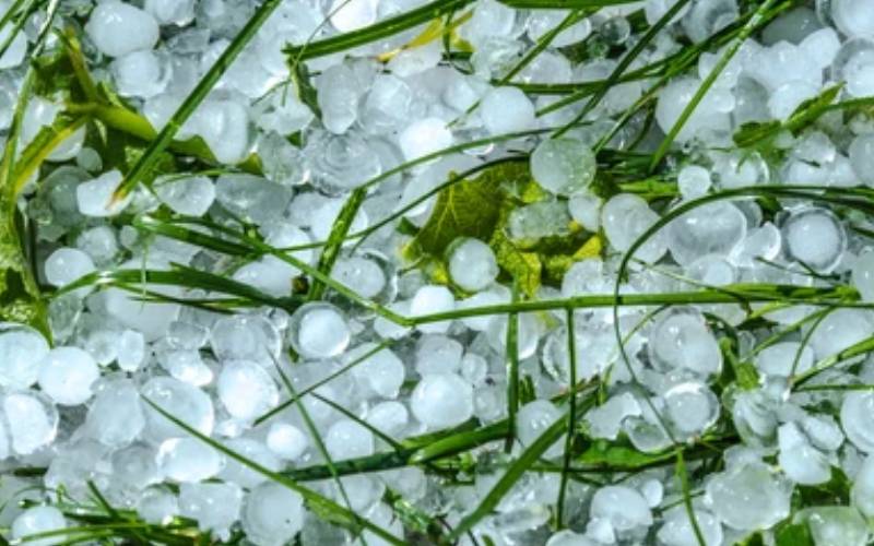 Tea farmers in Nandi counting losses as hail hit area