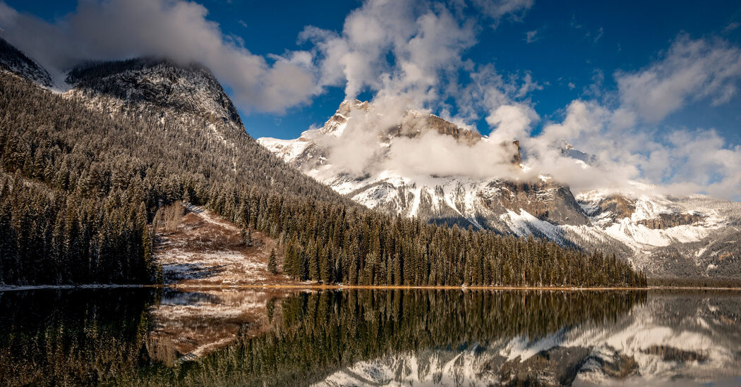 3 Dead After Glacier Tour Bus Rolls Over in Canadian Rockies