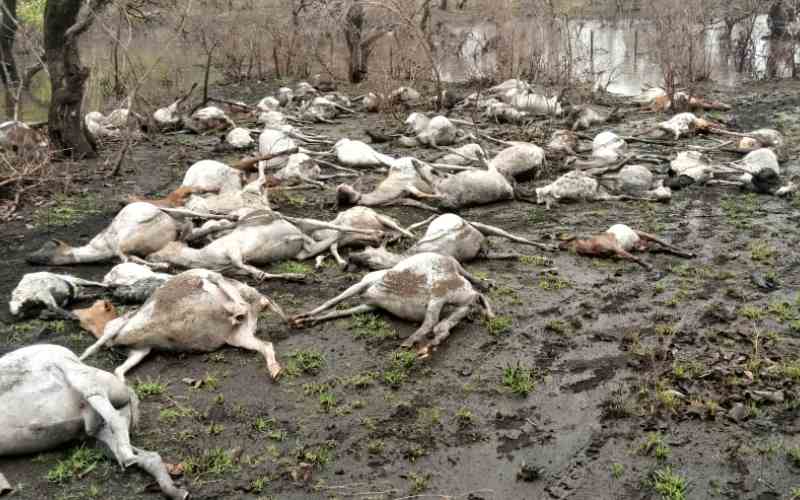 Farmers count losses after Monday night heavy downpour