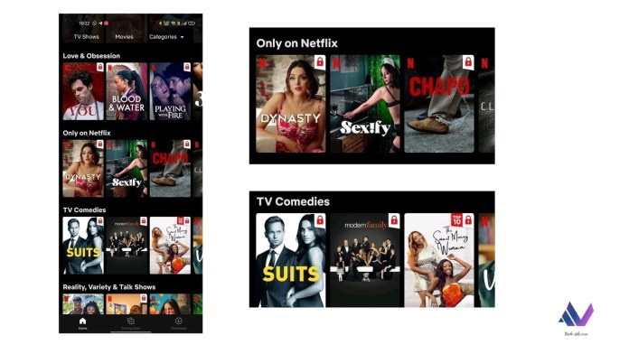Everything to expect with Netflix Free Plan in Kenya