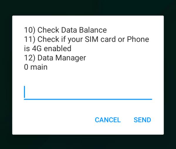Airtel Kenya finally avails a data manager