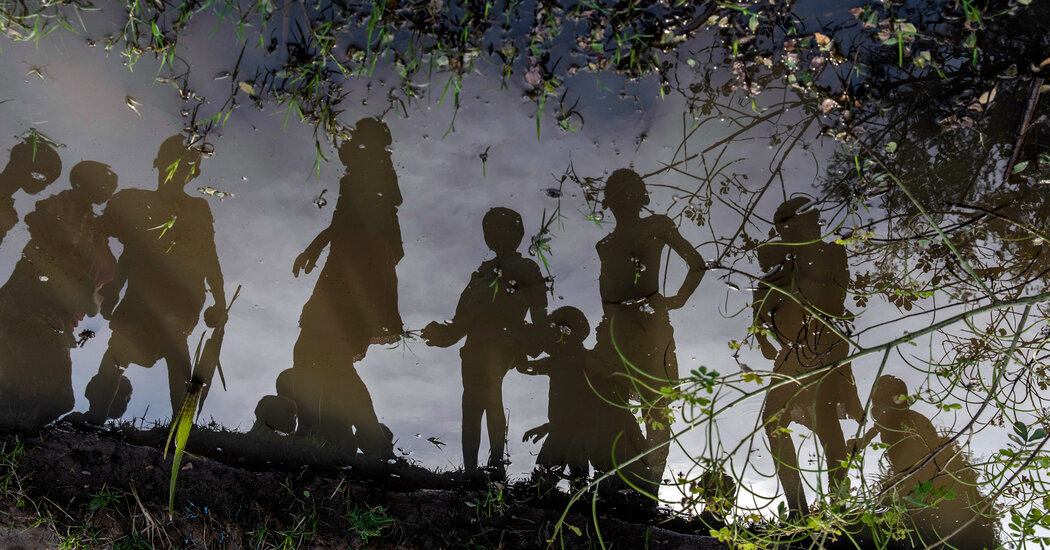 Climate Optimism - The New York Times