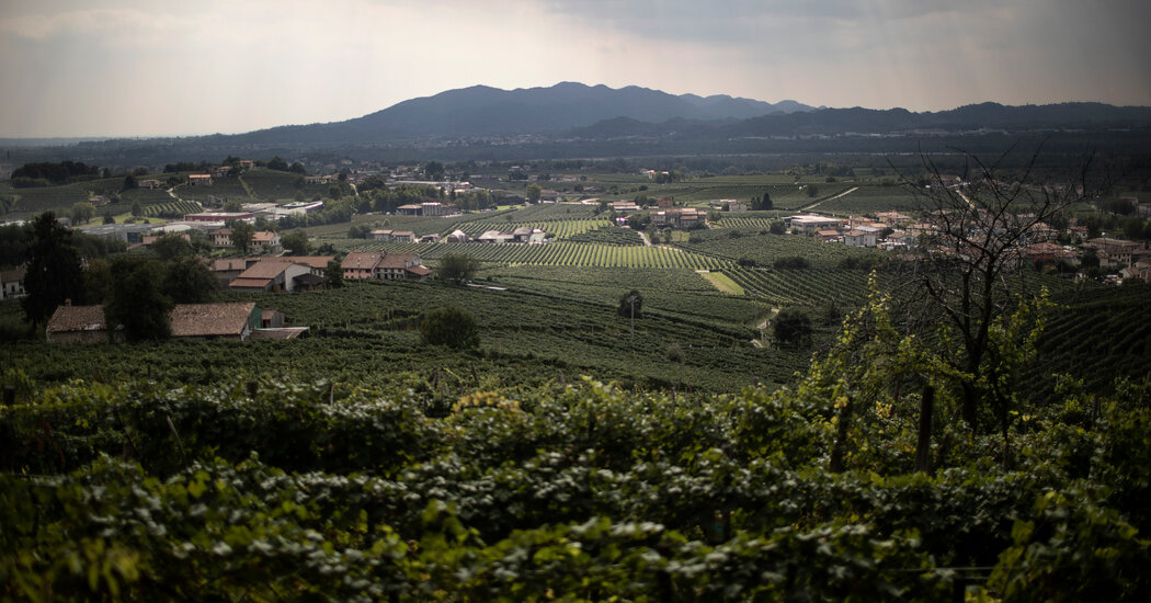 War and Strife Have Come to Prosecco Country