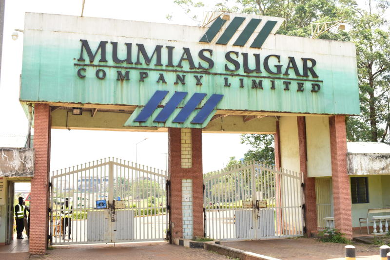 Why industry affiliated Saccos fail to stand after companies go under