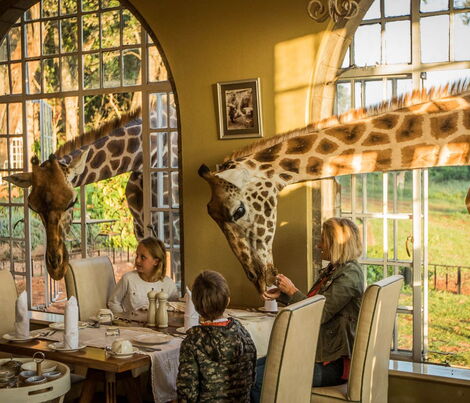 File image of guests enjoying breakfast with giraffes at Giraffe Manor in Nairobi