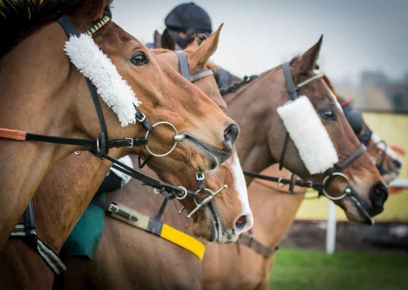All set for the Northern Kenya Polo Championships : The standard Sports