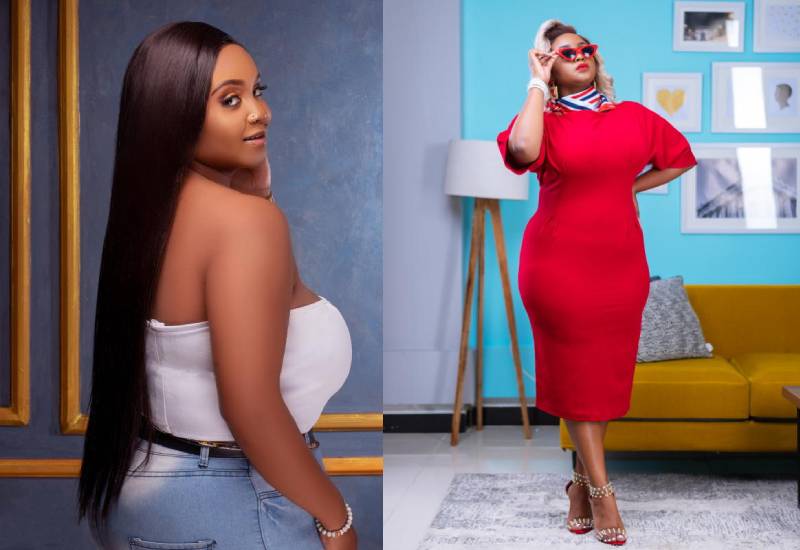 The curvy bella Eve woman