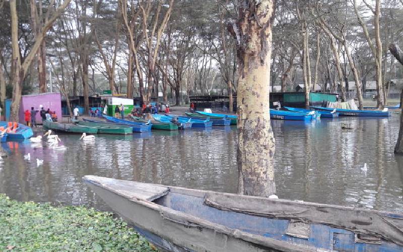NLC moves to stop encroachment around Lake Naivasha
