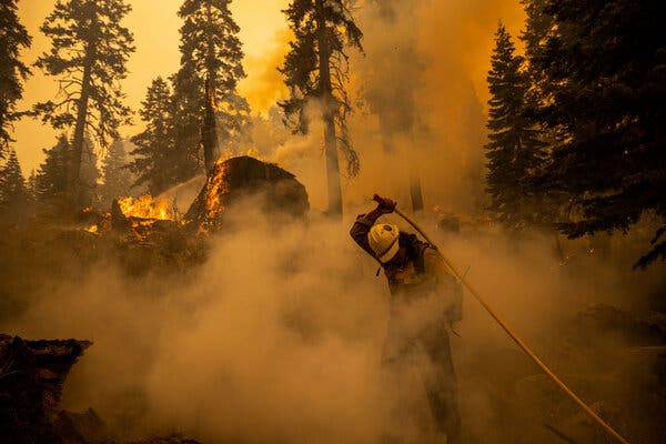Battling a spot fire that broke away from the Caldor fire near Meyers, Calif.