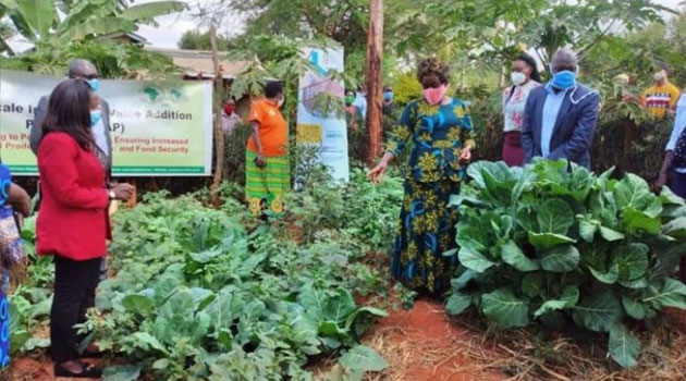 15,000 households in Makueni to receive kitchen garden kits to support food security