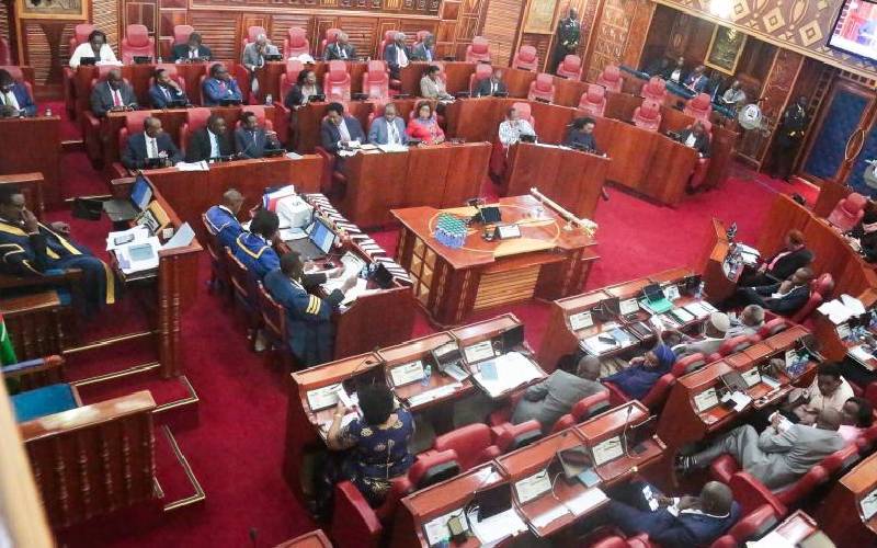 Revenue debate continues as Senate adjourns: The Standard
