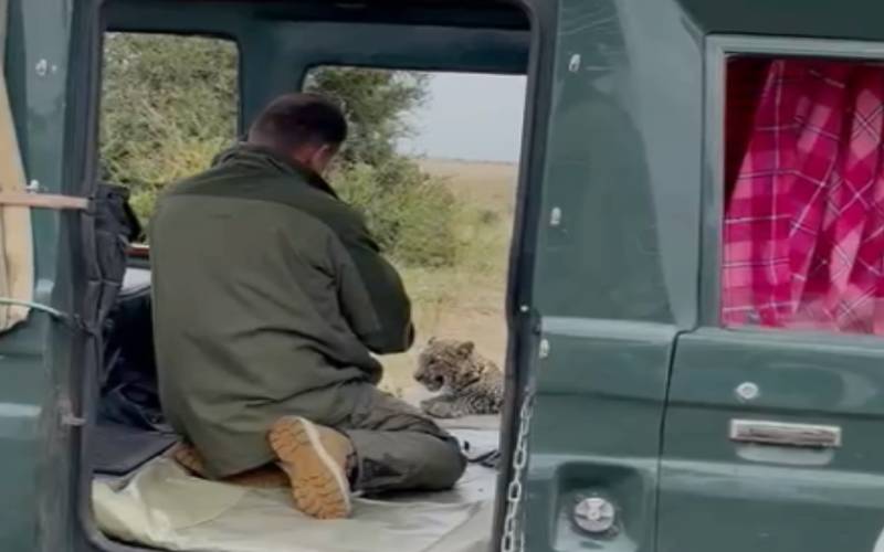 Tourist banned from Maasai Mara after video with leopard leaked