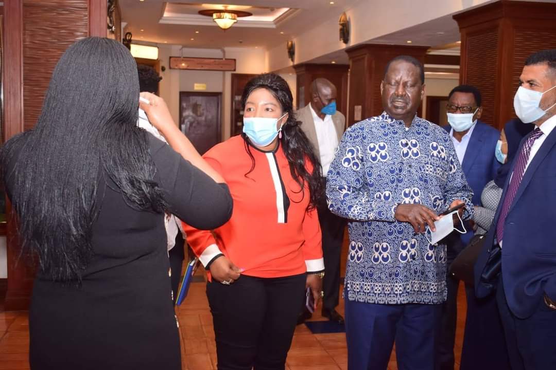 Briton Exposes Agnes Kagure As A Fraudster In Sh500M Karen Land Grab Saga