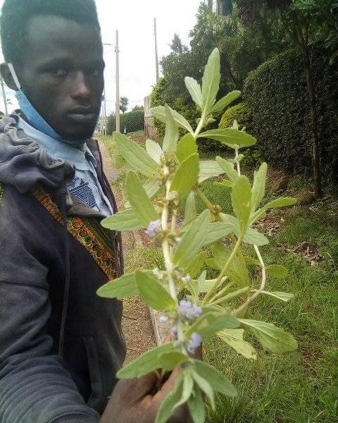 Meet a Kenyan Man Who Claims to Have Coronavirus Vaccine