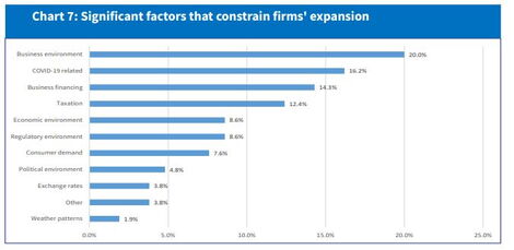 4 Things Kenyan CEOs Are Most Worried About - CBK Report