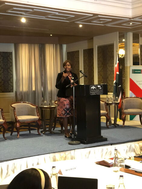 UN Women Kenya Representative Anna Mutavati Speaking During UN Event on Tuesday November 2