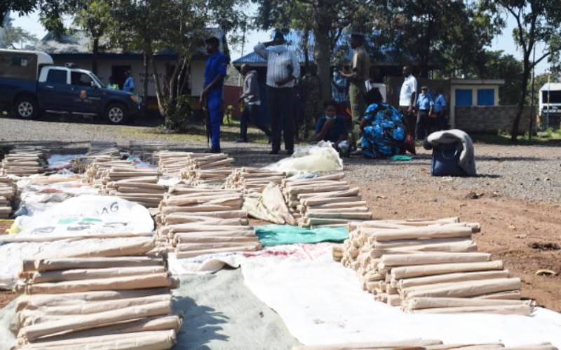 After cat-and-mouse chase with police, 2 people flee, leaving 5,400 rolls of bhang in car
