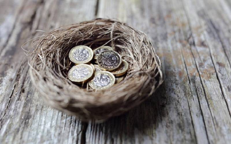 Why pension funds should bet on forestry as an asset class