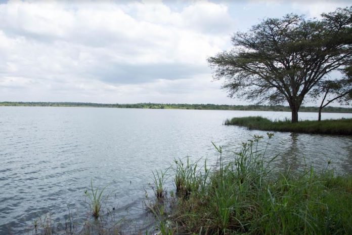 Kakuzi Awarded Global Certification For Sustainable Water Resources Management
