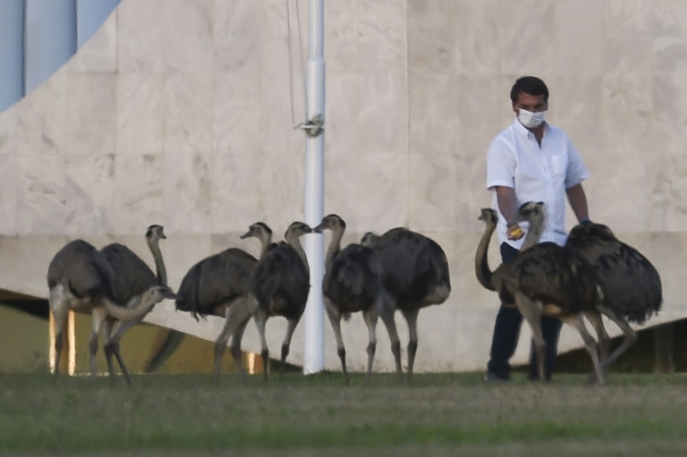 Brazil's Bolsonaro fed up with quarantine, to take new virus test » Capital News