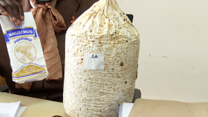 Masinde Muliro to commercialise porridge flour obtained from mushrooms – Kenya News Agency