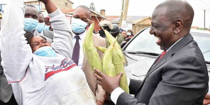 Ruto Shortchanged Me - Viral Woman Who Sold Roasted Maize to DP
