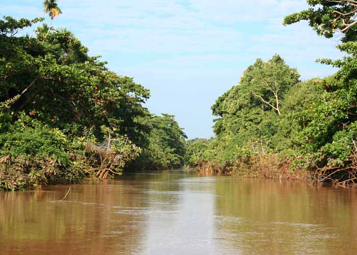 Woman, 43, drowns in a seasonal river in Narok – Kenya News Agency