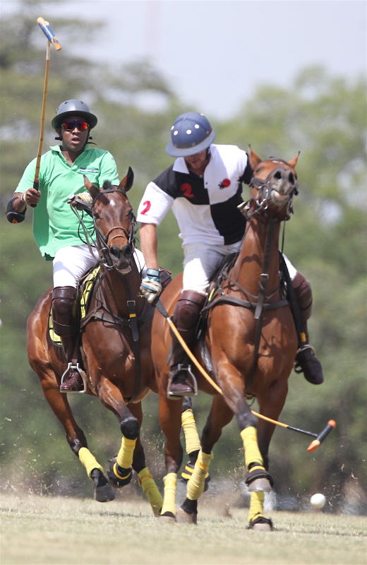 Polo: Tanqueray, Samurai face off in Cup final : The standard Sports