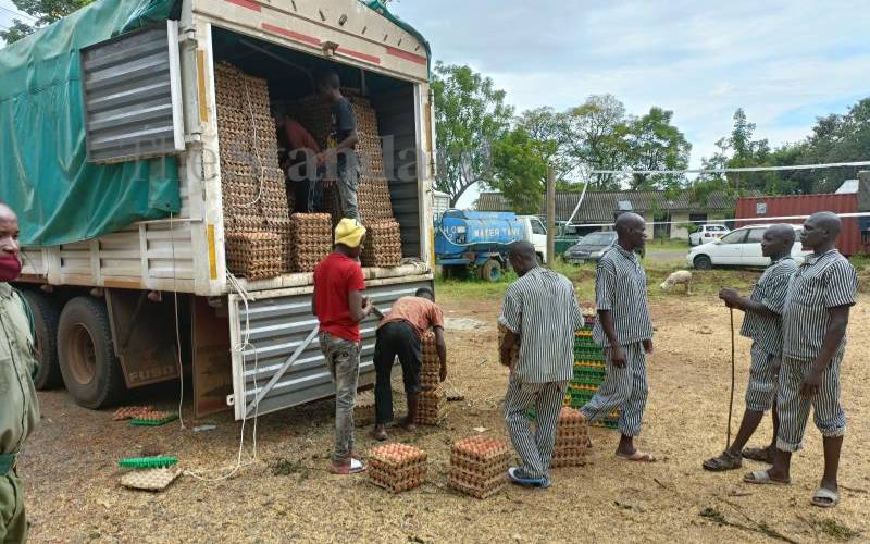 Police seize lorry ferrying eggs worth Sh2.7m from Uganda