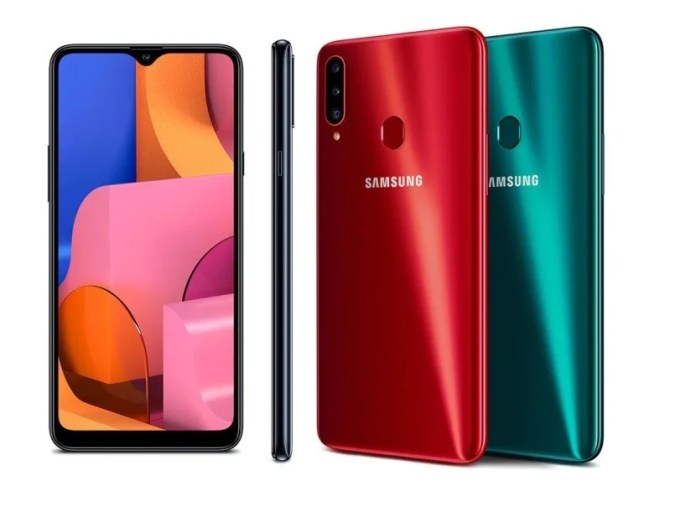 New Cameras but no AMOLED Screen