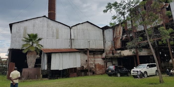 One Dead in Multi-Billion Auction Gone Wrong