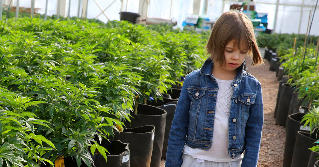 Charlotte Figi, Who Helped Popularize CBD for Medical Use, Dies at 13