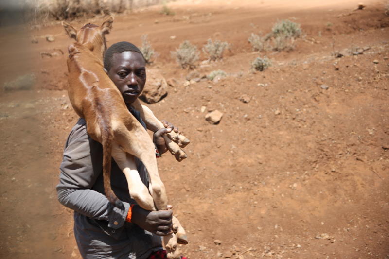 Treasury to release Sh2 billion to help drought victims