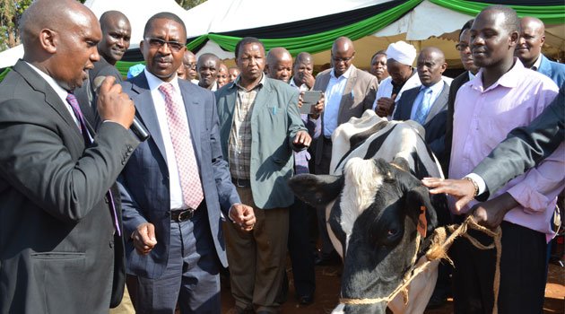 Wa Iria's hilarious campaign promise » Capital News