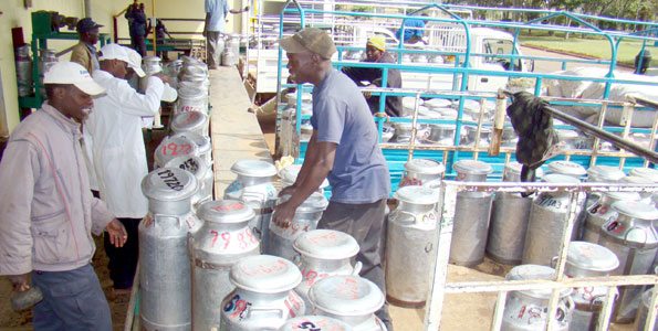 How Githunguri dairy started from zero to Sh. 6 billion enterprise