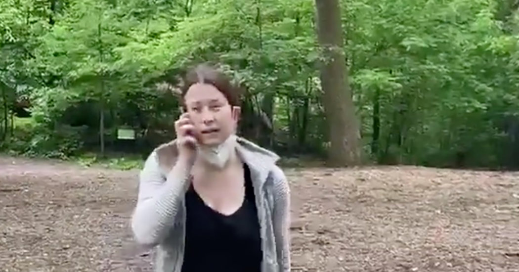 White Woman Is Fired After Calling Police on Black Man in Central Park
