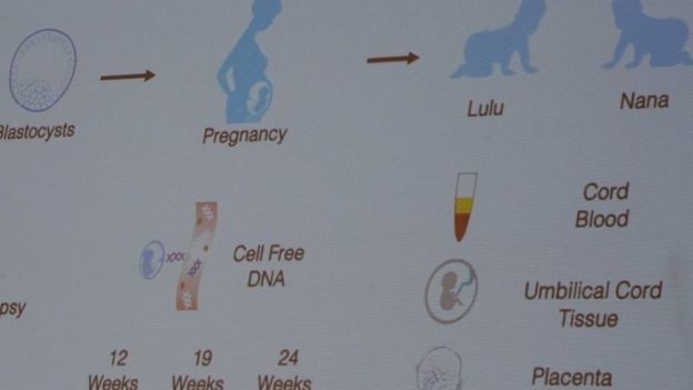 Scientist defends 'world's first gene-edited babies'