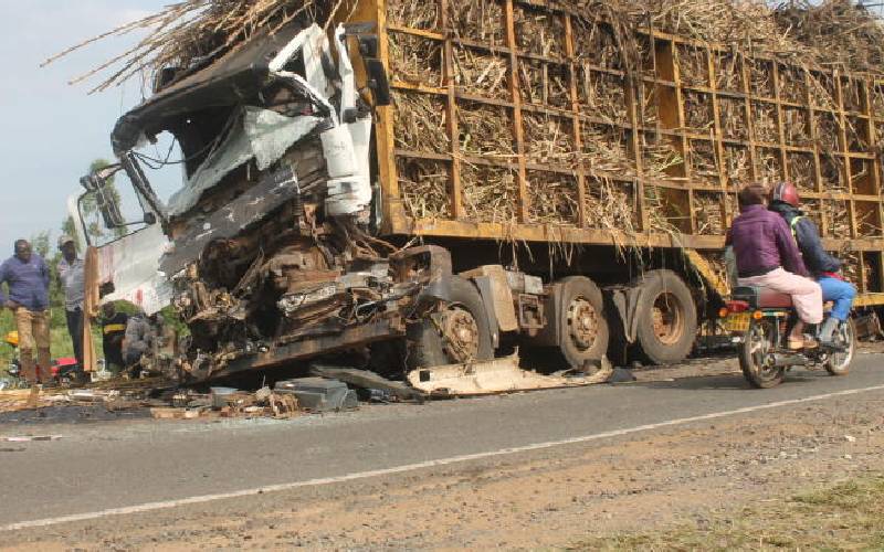 Truck driver on the run after allegedly killing opinion leader