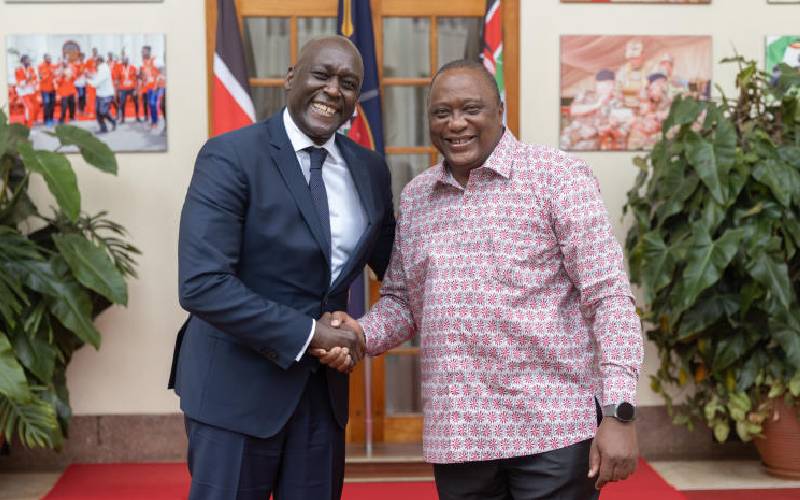 IFC boss to help small Kenyan business access cheap financing