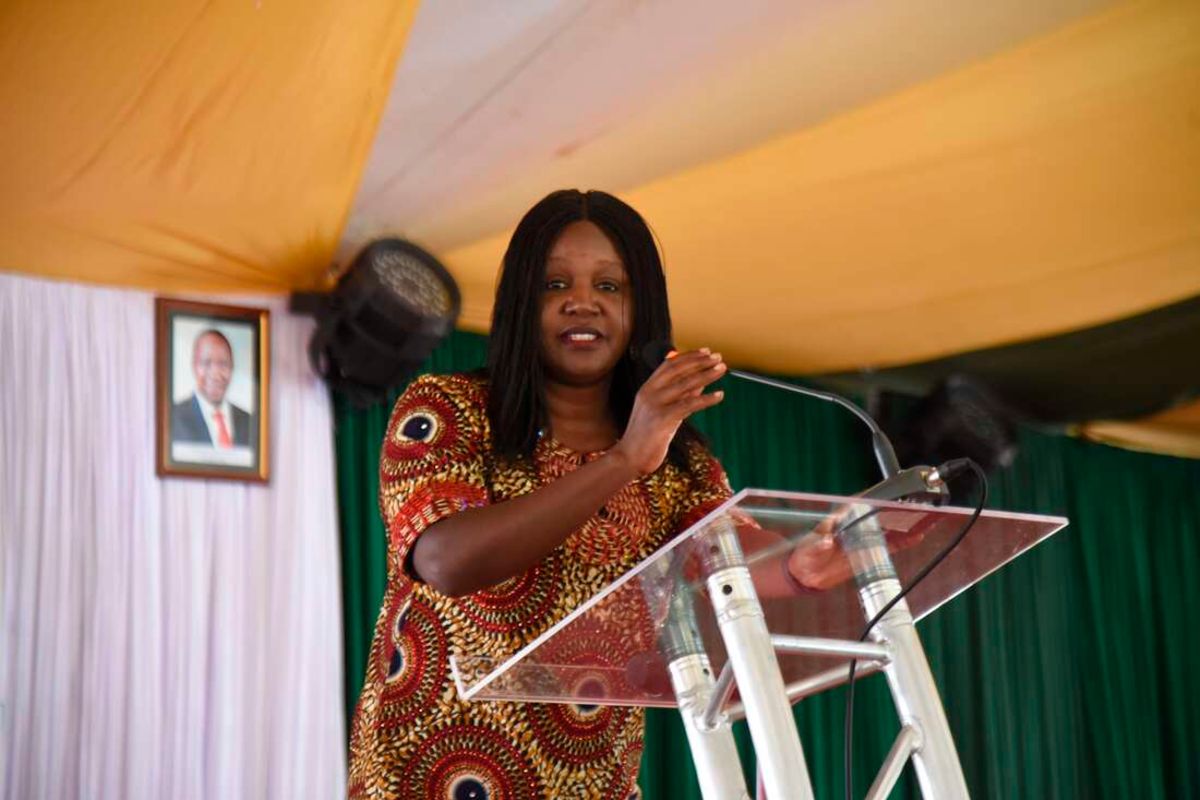 PS Zeinab Hussein: How ministry plans to save tourism from election-related disruption