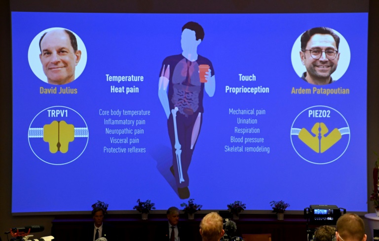 US duo win Nobel for work on temperature and touch » Capital News