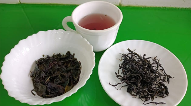 Youth urged to grow herbs as the demand for herbal teas increases » Capital News
