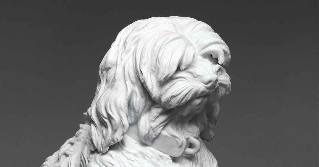 How Old is the Maltese Dog Breed?