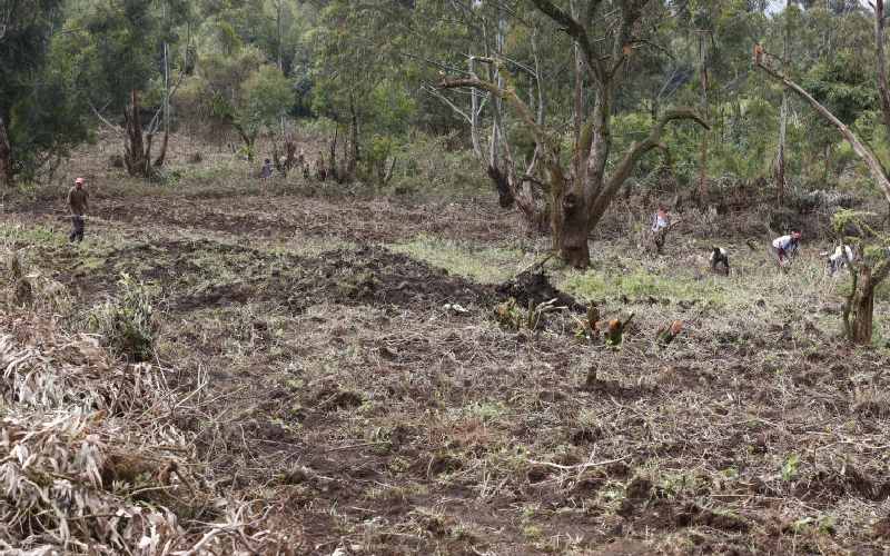 Resolve eviction stand-off or lose Sh3.6b, EU warns State: The Standard