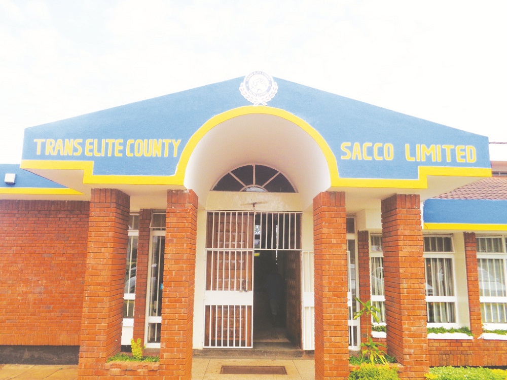 Trans Elite Sacco once beset by graft bounces back