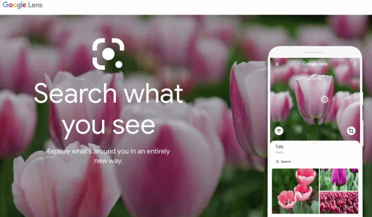Google's Updated App May Allow Online Searches via 'Smart Screenshots'