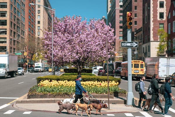 The seven-day citywide positive test rate has been falling since a peak in January and is now between 3 and 4 percent.
