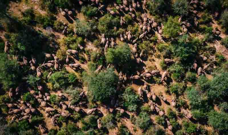 No end in sight for Kerio Valley farmers and elephants conflict